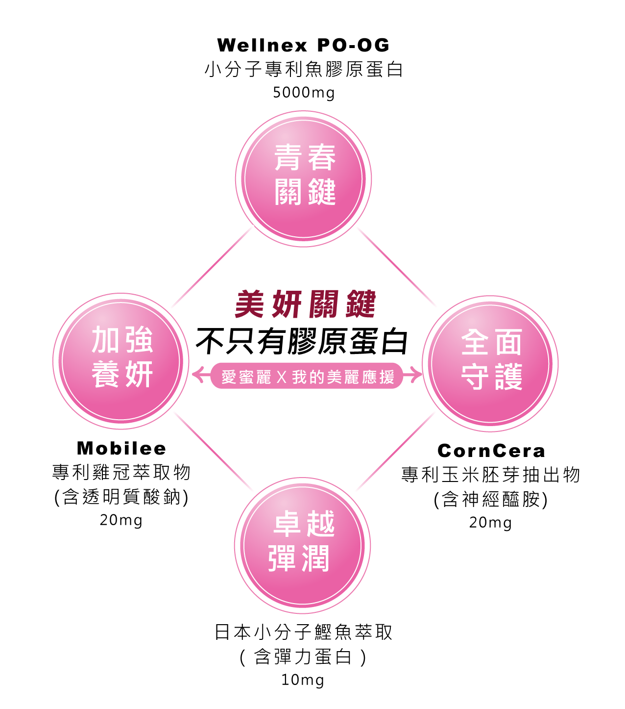 愛蜜麗WEB-02-min.png