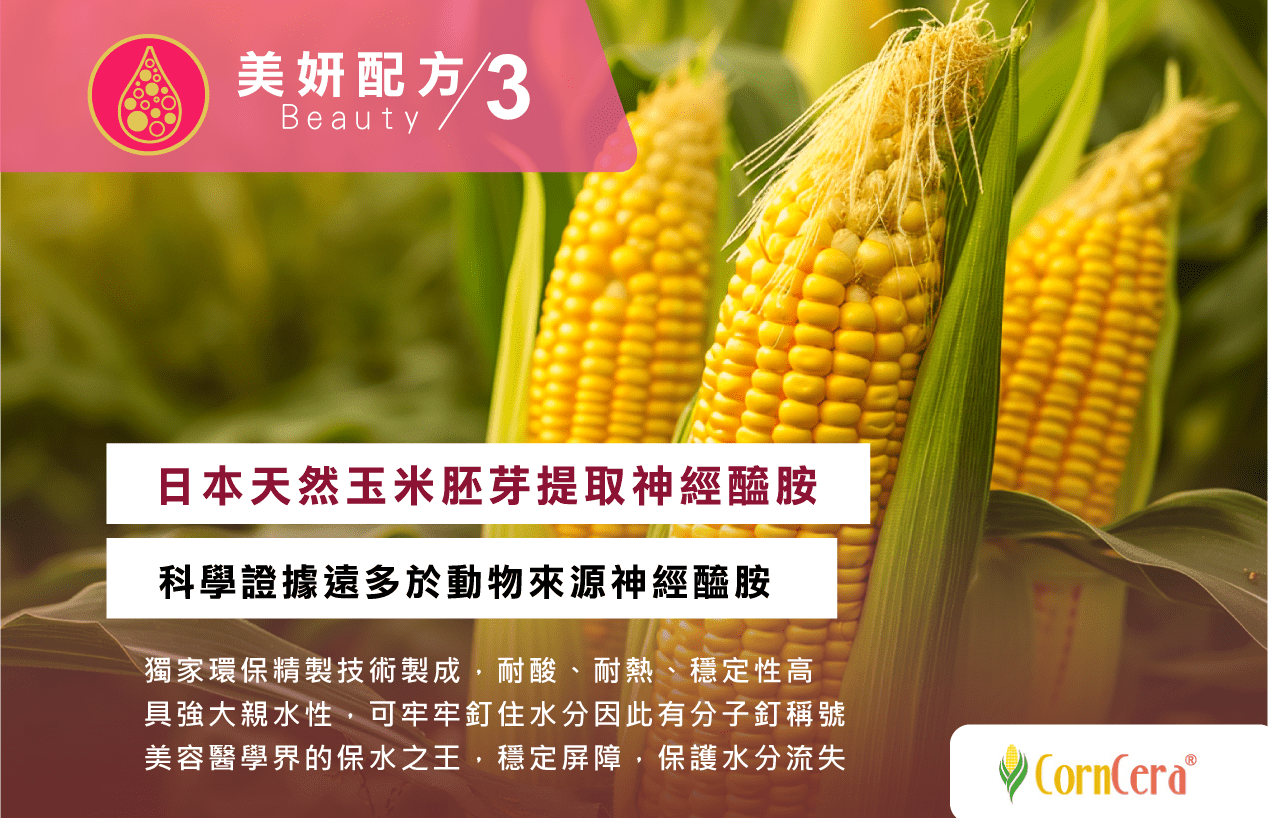 愛蜜麗WEB-05-min.png