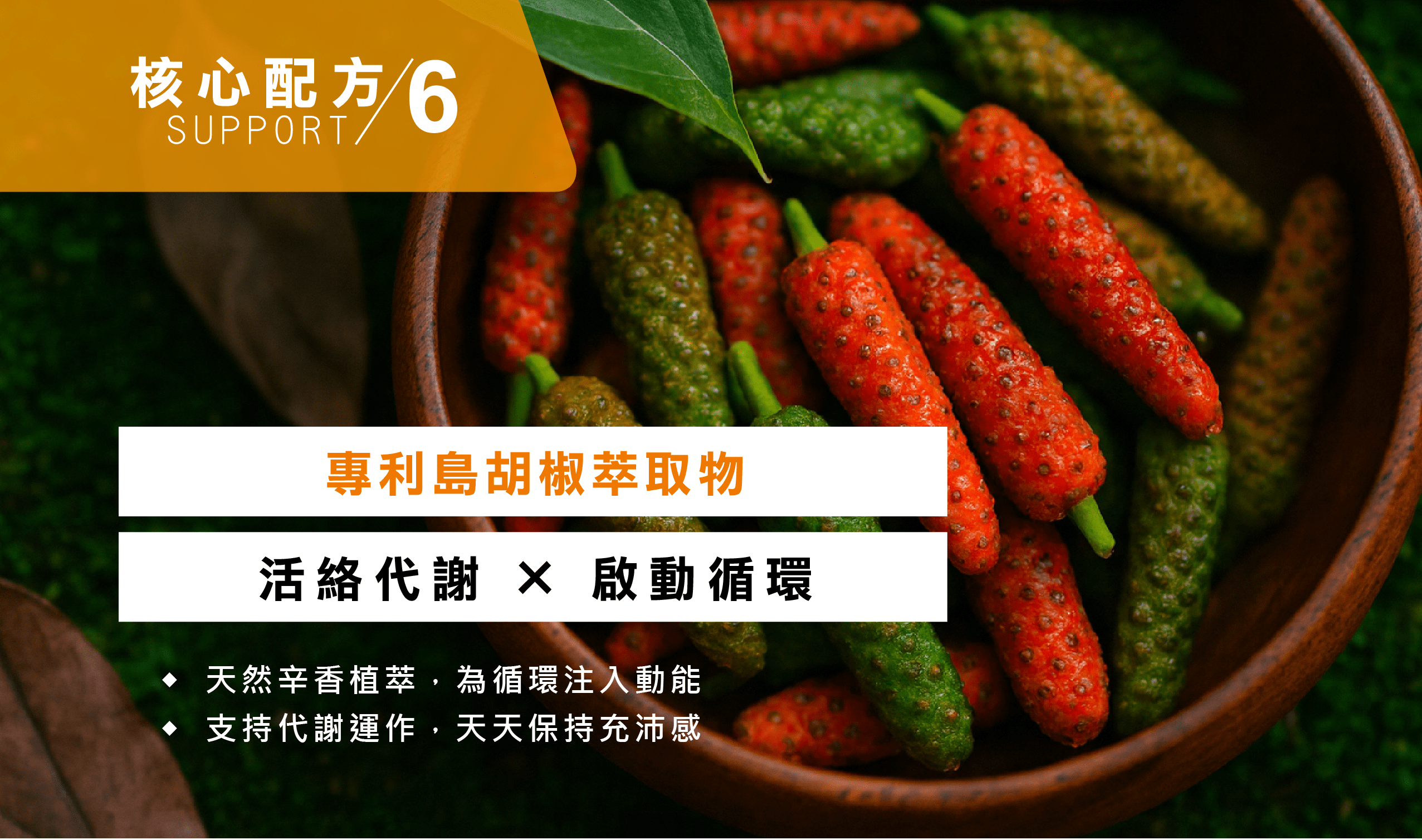 果燃有感-WEB-08-01-min.png