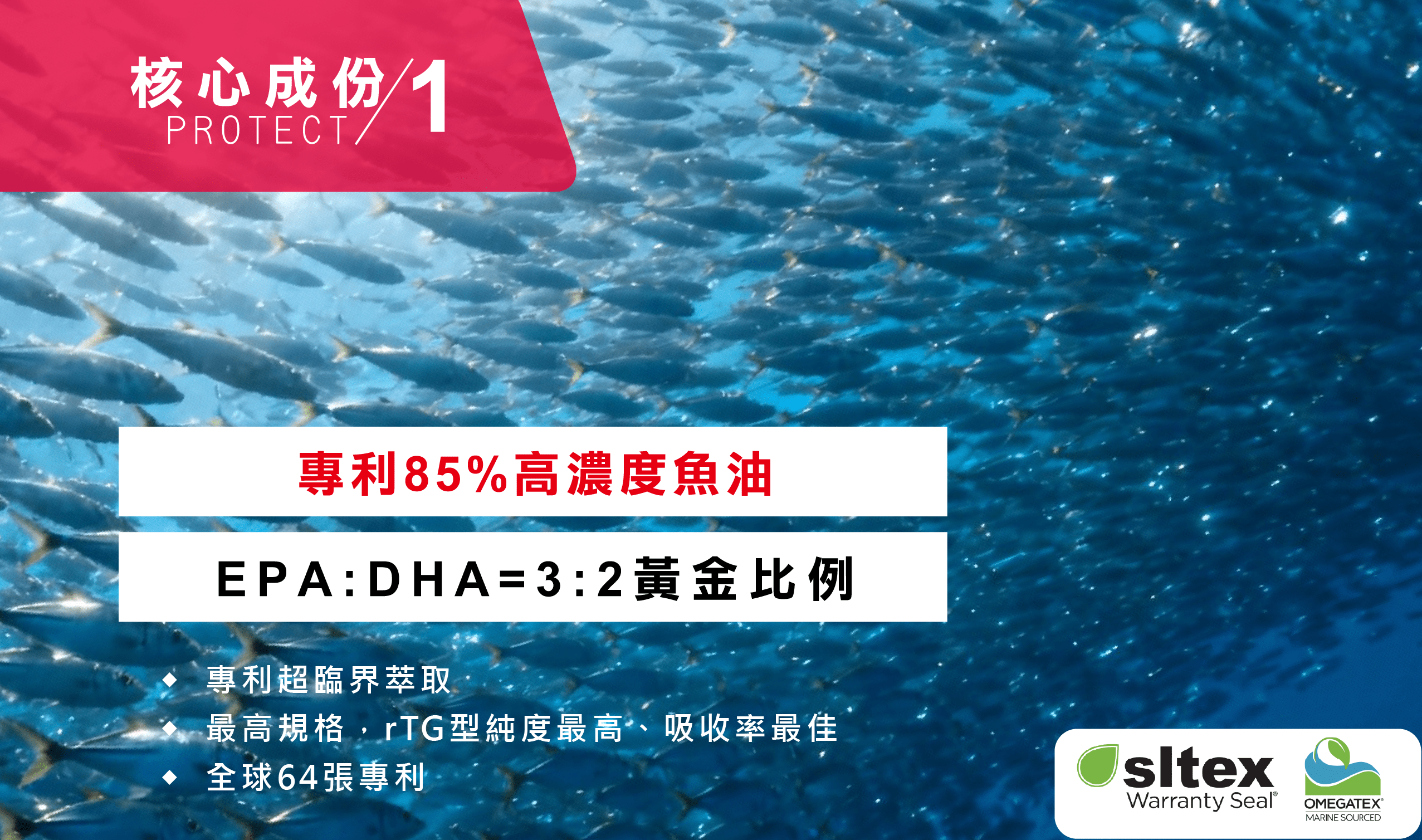 油你真好-WEB-03-min.png
