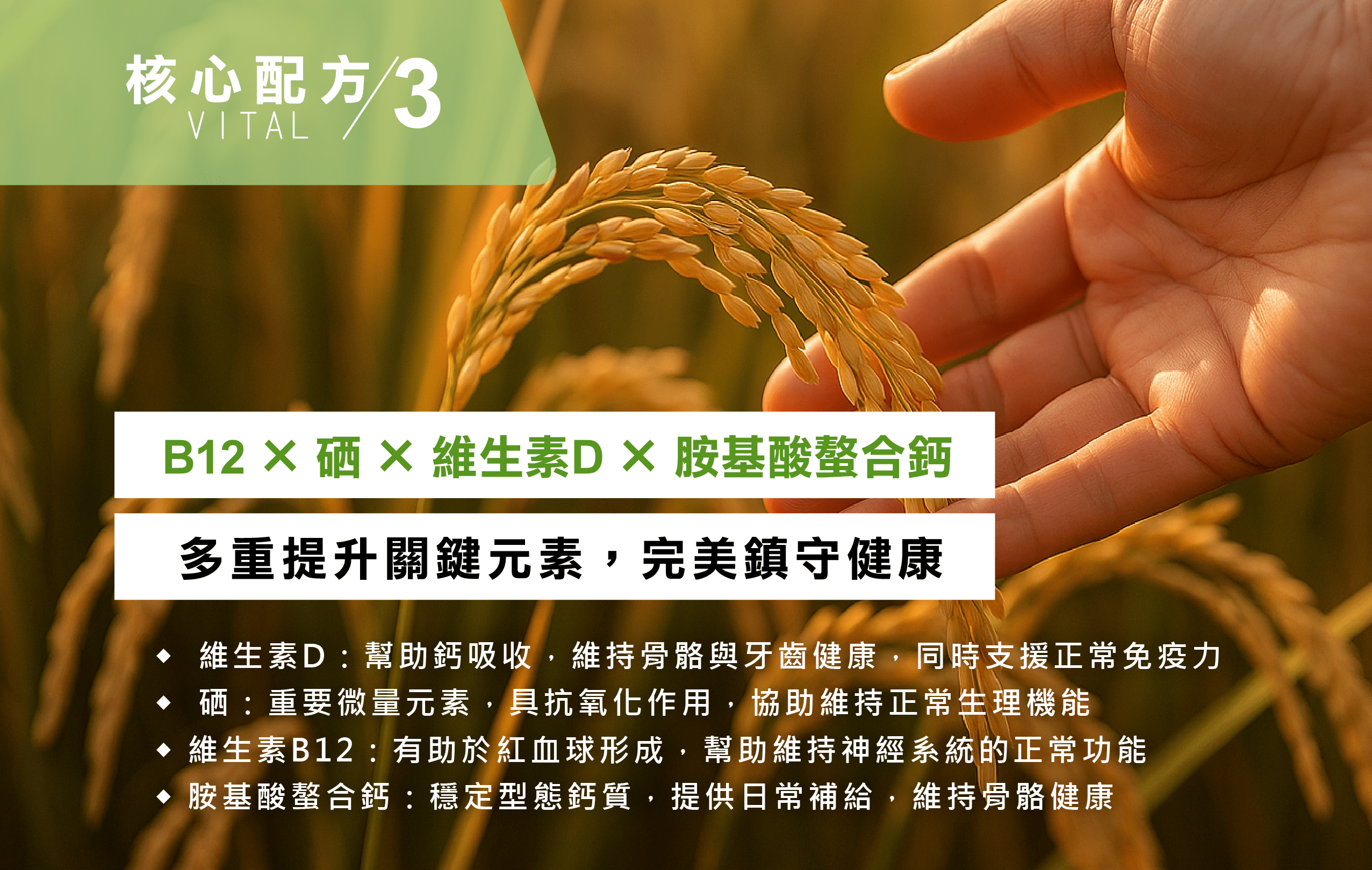 活力營養錠WEB-05-01-min.png